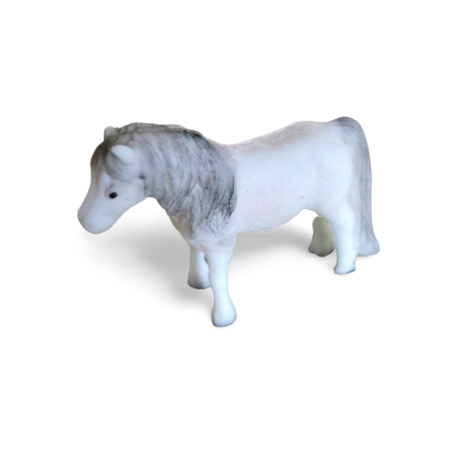 Cukrový koník