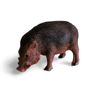 Cukrový diviak 