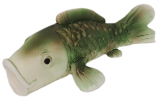 Ryba veľká 