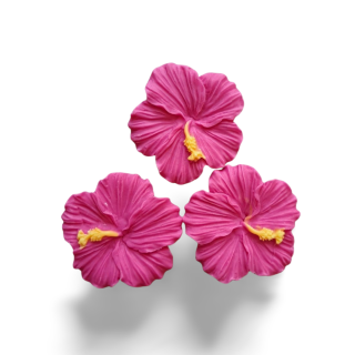 Ibištek cyklaménovy 3ks