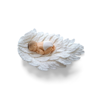 Bábätko na jednom krídle 